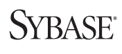 Sybase Logo